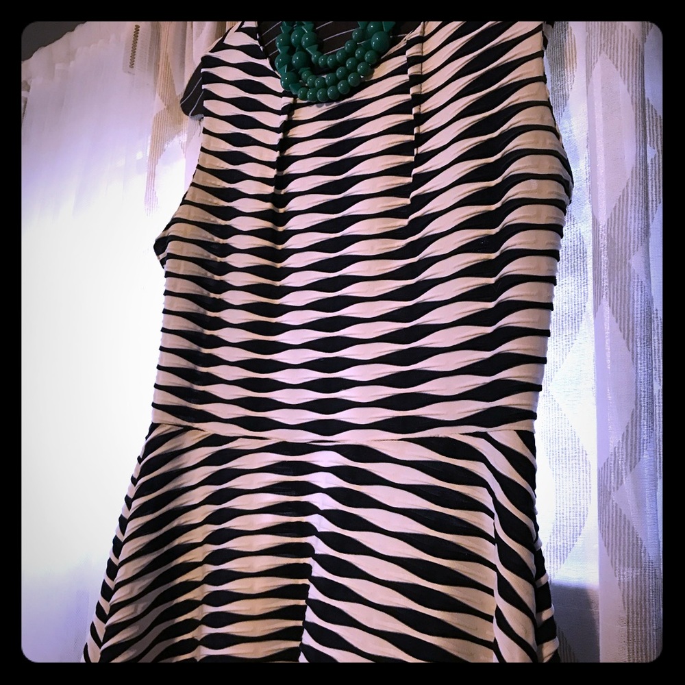 Navy & White Textured Fit & Flare Dress